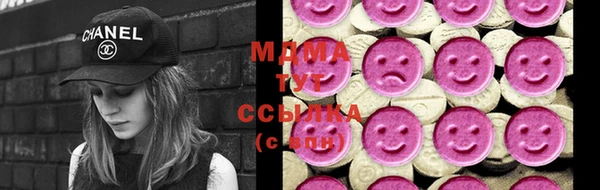 шишки Надым