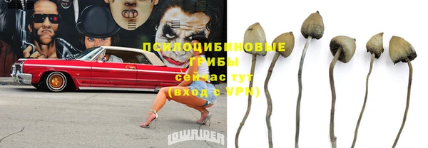 СК Арсеньев