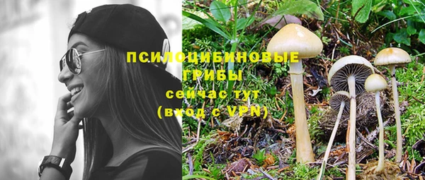 прущие крисы Наволоки