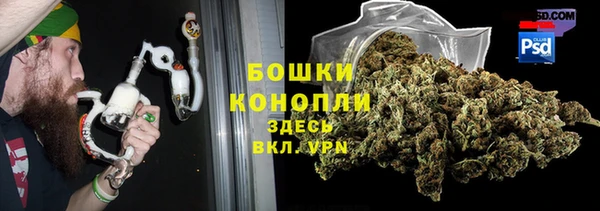 СК Арсеньев