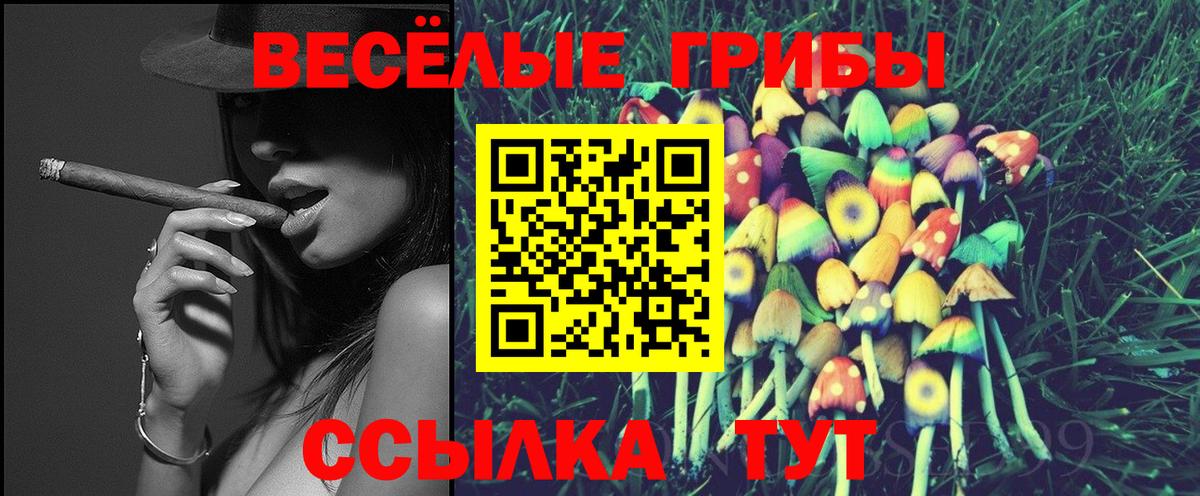Майкоп  Галлюциногенные грибы прущие грибы  Вход с VPN 