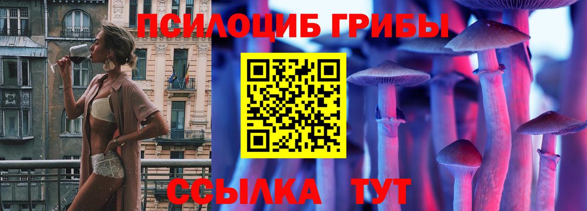 Псилоцибиновые грибы GOLDEN TEACHER Майкоп
